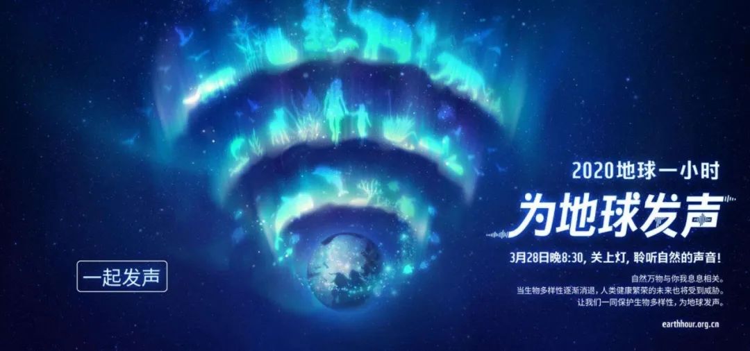 環(huán)保進(jìn)行時(shí) | 華洲木業(yè)，用行動為地球發(fā)聲(圖1)