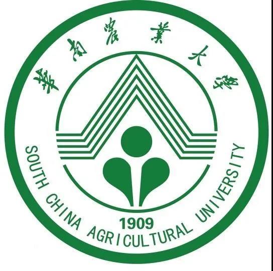 華南農(nóng)業(yè)大學材料與能源學院胡傳雙院長一行到訪華洲木業(yè)參觀交流(圖3)