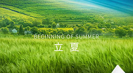 華洲木業(yè) | 春意藏，夏初長