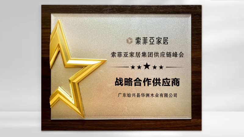 【品牌實(shí)力】華洲：創(chuàng)新引領(lǐng)，品質(zhì)鑄就傳奇(圖5)