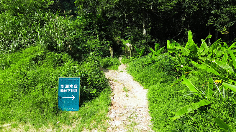 嚴(yán)格選材，只為一張好板材！(圖1)